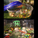 Platform Breeding Water Box B6MT Tank Tortoise Turtle Raising Bask Cylinder