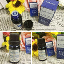 100 % Pure Tree Essential Oil 10ml Tree buttock Essentia Oil Massag M1X1 U0C8