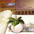 5 X Green Artificial Butterfly Orchid Leaf Bush Simulation Grass Home Decor DIY