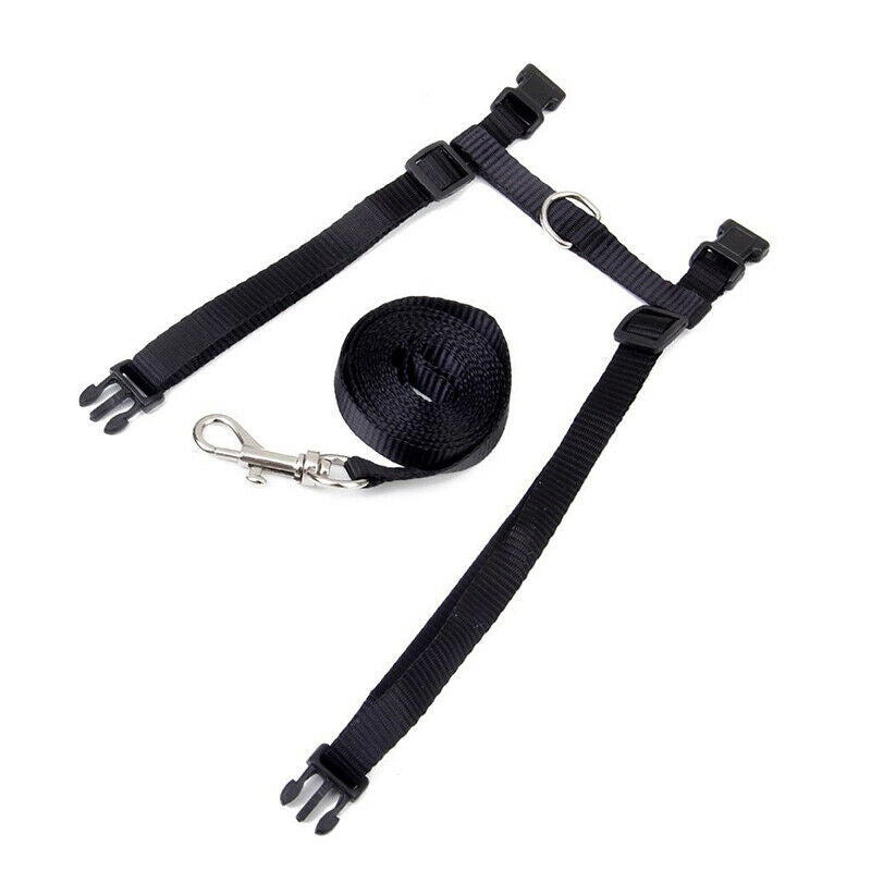 Nylon Adjustable Harness & Leash For Animals Black H1X3