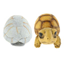 Exquisite and Durable Turtle Hiding Cave Simulation Aquarium Supplies Fish Tank