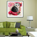 5D DIY Full Drill Diamond Painting Cat Cross Stitch Mosaic Kit Home Decor