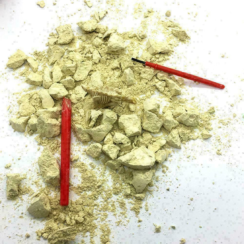 Dinosaur Egg Excavation Kit Archaeology Dig Up History Skeleton Kid Toys W4 B3Z6