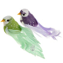 2Pcs Colorful Artificial Foam Mini Bird with Clip Home Wedding DIY Kit Decor