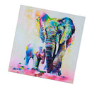 50x50cm Canvas Decorative Wall Art Painting Picture Elephant Print No Framed