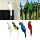Set of 4 Feathered Realistic Parrot Home Garden Birds Decor Ornament