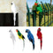 Set of 4 Feathered Realistic Parrot Home Garden Birds Decor Ornament