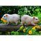 3Pcs Micro Pink Pig Gardening Potted Decor Accessories DIY