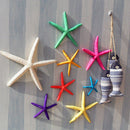 KF_12Pcs White Finger Starfish Pointer Sea Beach Wedding Coastal Decor Craft