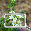 Lighted Magnifying Glass Anti-Glare with 10x LED Lamp Beads for Observation,