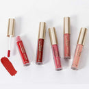 Sace Lady Matte Lipstick Makeup Liquid Lipstick Red Nude Lip Tint Moisturiz