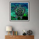 5D DIY Full Drill Diamond Painting Sea Turtle Embroidery Mosaic Craft Kit