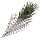 20pcs Beautiful Natural Peacock Feathers for Birthday Party Gift Banque DIY DBH