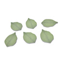 Green Leaf Fall Kraft Paper Sticky  Green For Kids Work Or Study MO