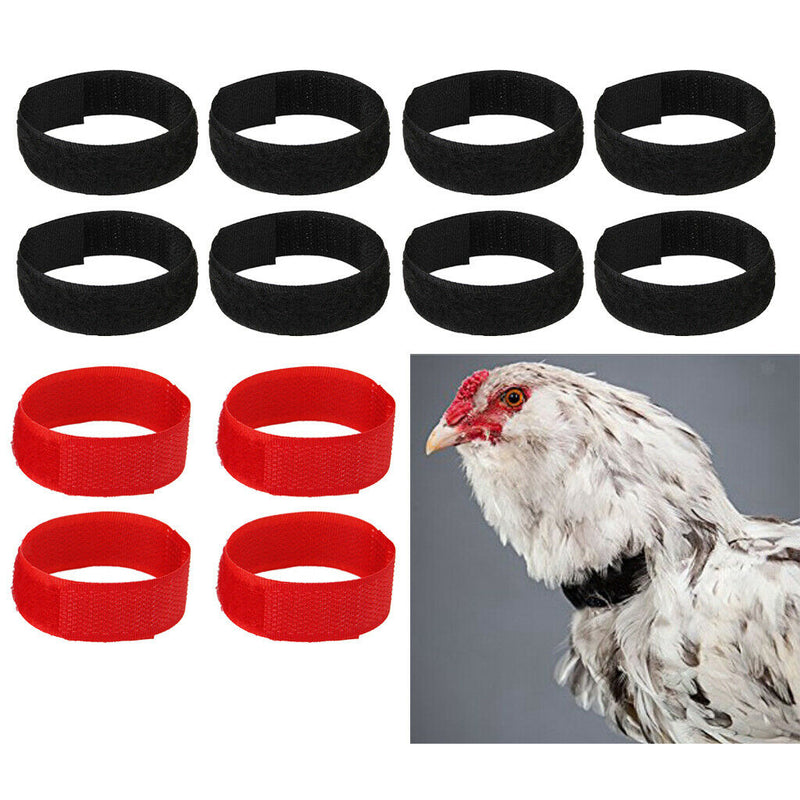 12pcs/pack No Crow Collar for Roosters Noise Free Neckband Collars Black&Red