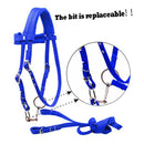Durable Nylon Horse Bridle Headstall High Density Halter Blue Sas Described