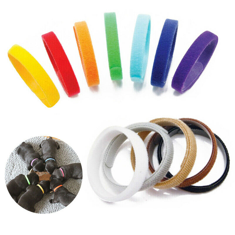 12 COLORS Identification Whelping Puppy Kitten ID Collars Bands Soft Adjustable