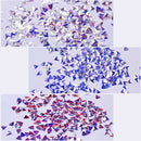 6 Colors Holographic Chunky Triangle Glitter Sequins Beauty Festival Glitter