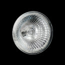 Mr16 12V 35W Watt Base Light Bulb Lamp Halogen Projector Socket Cup Cold Light&