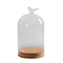 Bird Decorative Glass Dome with Wooden Base - Cloche Bell Jar Display 15cm