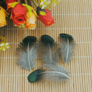 50pcs Lady Amherst natural green pheasant feathers for-craft/millinery/jewe W5A1