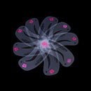 24Style Eye Brow Class Guide Grooming Shaping Assistant Eyebrow Drawing Car Bj