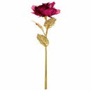 Rose Valentine's Day Gift Golden Rose Flower with Little Bear Fuchsia