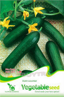 Unsalted Mighty Dutch Cucumber Seed Vegetable Seed Garden Home Natural Seed LJ