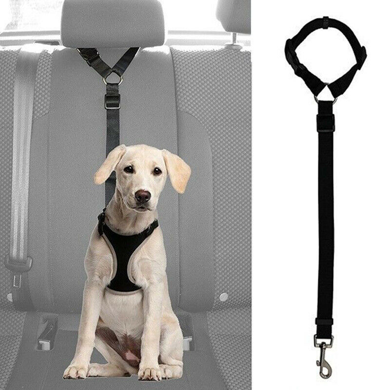 Dog Cat Pet Safety Adjustable Car Seat Belt Harness Leash Travel Clip Strap