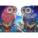 5D DIY Special Shaped Diamond Painting Bird Embroidery Mosaic Craft Kits
