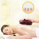 Massage Brush Control Health And Beauty Spa Security Five Elements Meridian