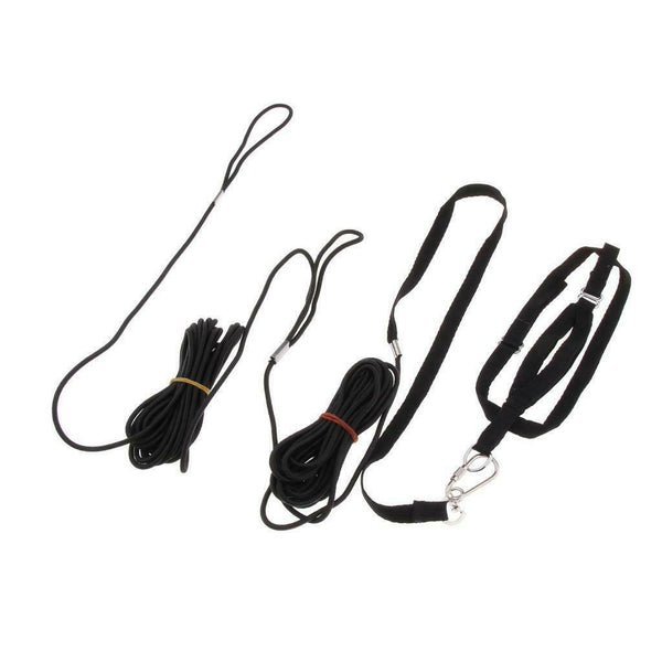 4pcs Outdoor Parrot Leash Adjustable Bird Harness For Small to Large Birds