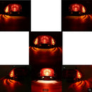 Scooter Moped Rear Tail Light Signal for Chinese 49cc 50cc ,Tank,Quinqui,Jonway