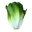 2pc Imitation Vegetables Cabbage& Lettuce Store Cabinet Display Food-