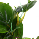 Large Leaf Aquatic Plant Simulation Aquarium Fish Tank Decoration Ornament