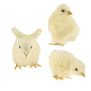 3Pcs/Set Realistic Lifelike Easter Baby Chicks Synthetic Furry Farm Animal Prop,