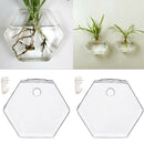 2 Pieces Wall Hanging Plant Terrarium Glass Planter for Home Decor, Hexagon