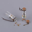 12Pcs Mini Small Fancy Glass Bottle Wishing Handwork Lucky Pendant Necklace