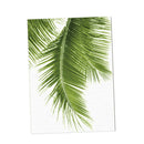 Unframed Modern Art Canvas Oil Painting Green Palm Leaf Print Wall Decor L