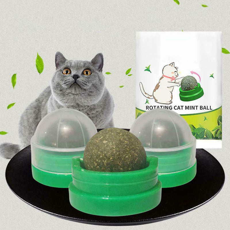 Toys Puzzle Ball 9SRO Cat Pure Leaf Ball Rotating Catnip Mint Natural For Balls