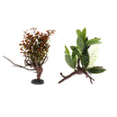 2 PCS Aquarium Reptile Tortoise Gecko