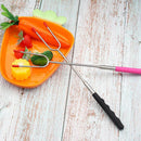 Roasting Smokes Sticks, Extendable Forks for BBQ, Camping Accessories for s, Hot