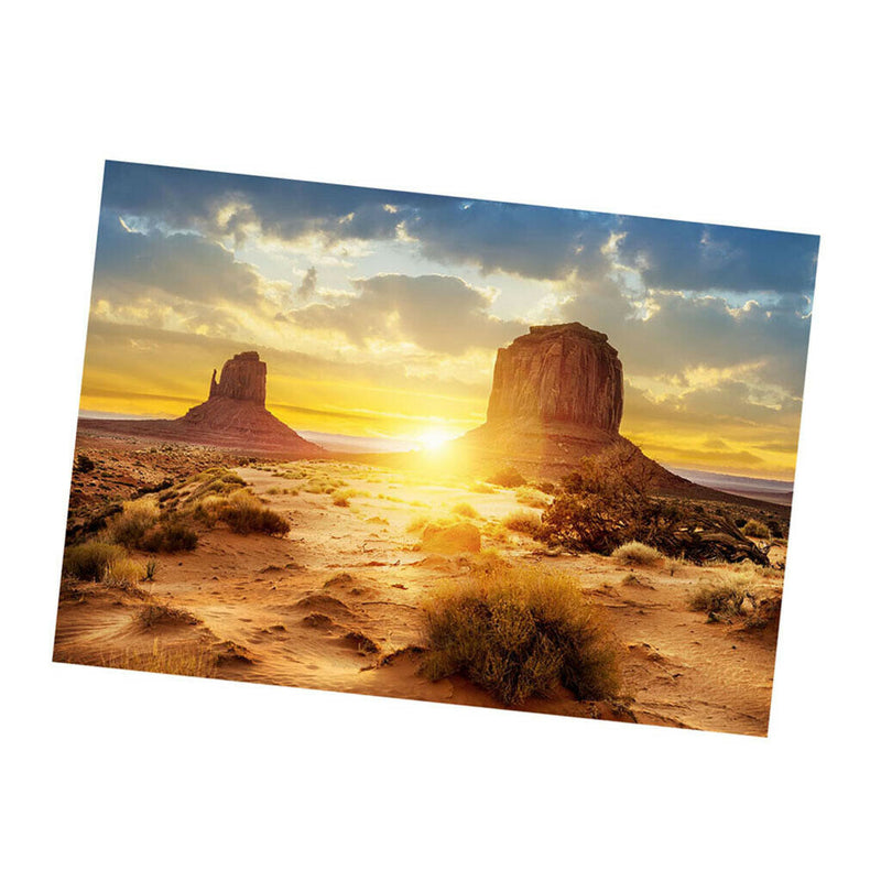 Aquarium   Tank Background Poster Desert Vivarium Decor 122x61cm