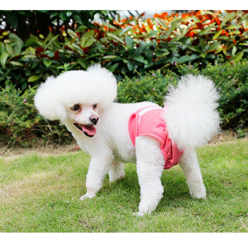 2x Reusable Dog Diapers Sanitary Pants Diaper Pad for Male Female Pet Dog