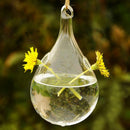 Water Drop Hanging Glass Flowers Planter Vase Terrarium Container Home Decor