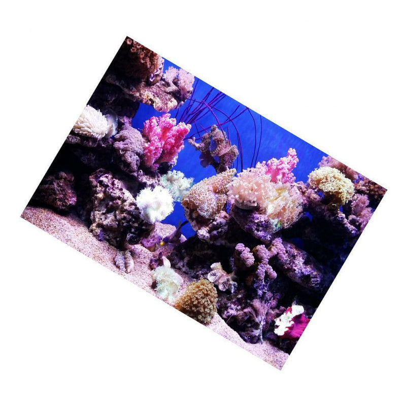 Under Sea Seabed World Backdrop Underwater Scene Colorful Aquarium Photography