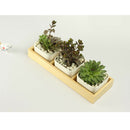 4x Natural Wooden Succulent Plant Flower Bed Pot Through Box Garden Planter