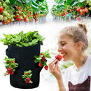 Garden Planting Grow Bag Potato Strawberry Planter Bags For Outdoor Vegeta Gw