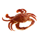 Artificial Lifelike , Decoration For Kitchen Fishing Accessories