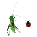 2 x Vivid Ladybug & Katydid Insect Imitation Animal Fridge Magnet Toys Outdoor